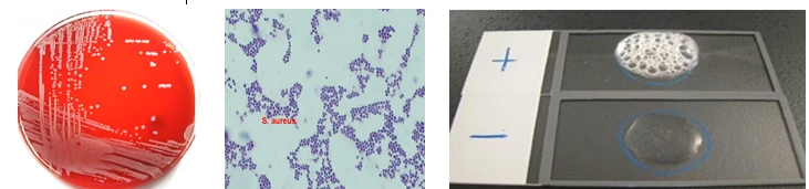 微信图片_20241113192345.png 微信图片_20241113192345.png