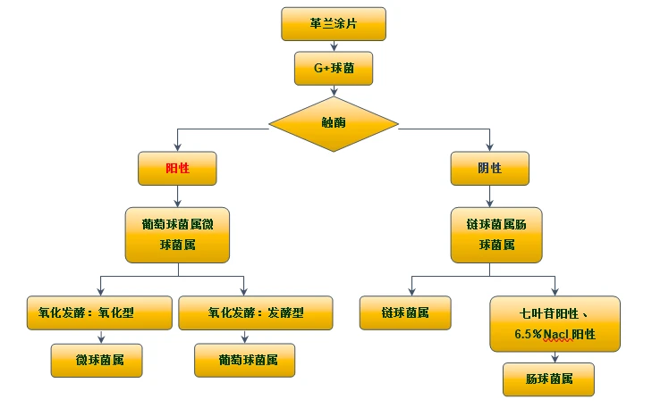 微信图片_20241113192348.png 微信图片_20241113192348.png