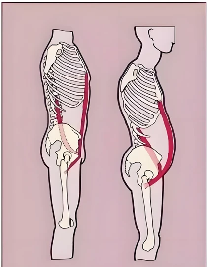 图片4.png 图片4.png