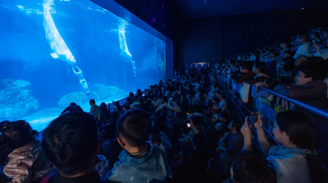 屏幕截图 2026-03-02 131653.png